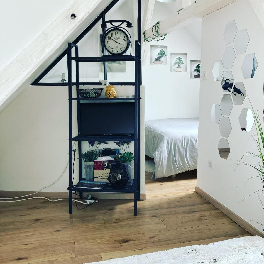 Appartements Atypiques Centre Historique 디종 외부 사진