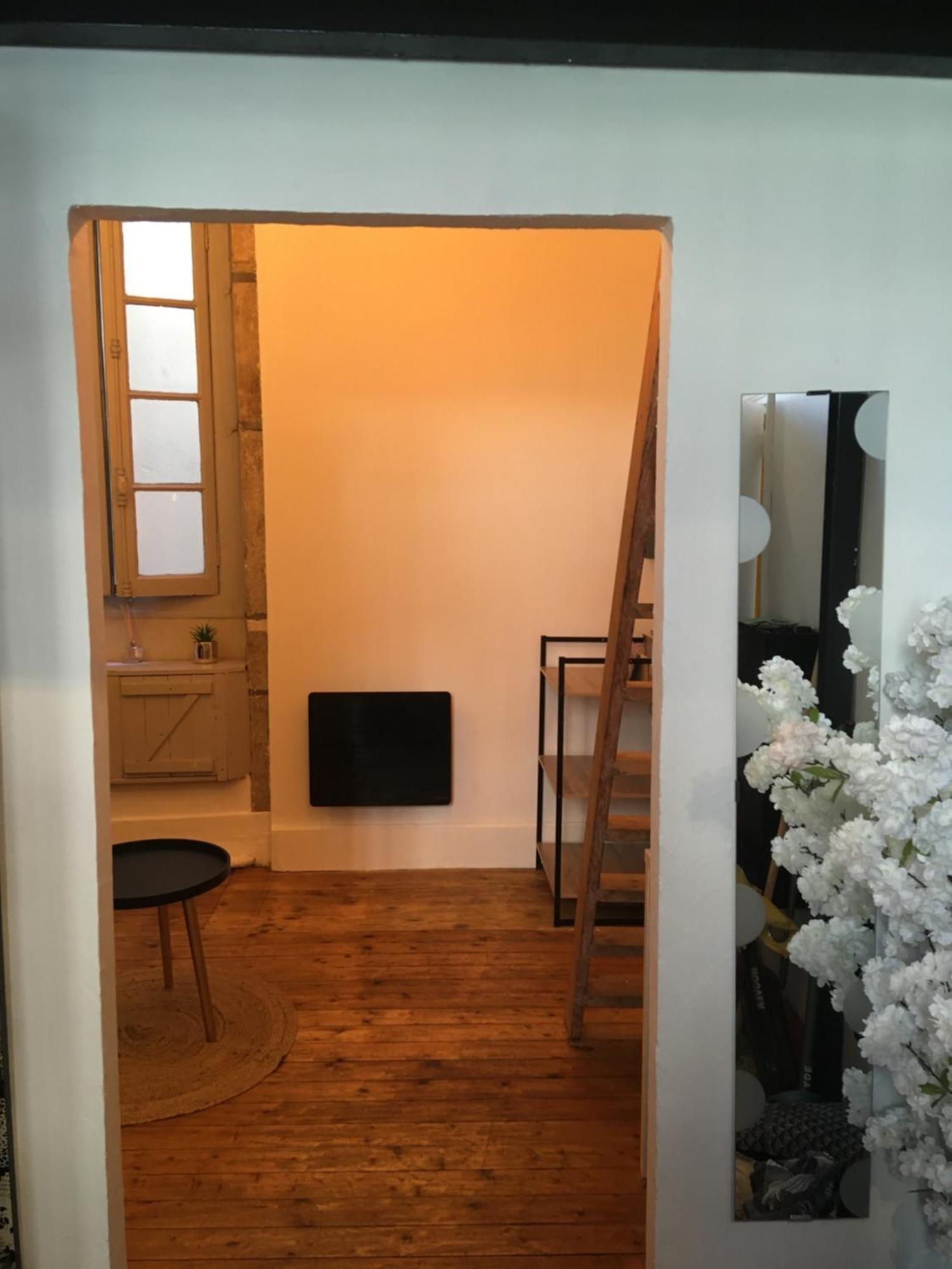 Appartements Atypiques Centre Historique 디종 객실 사진