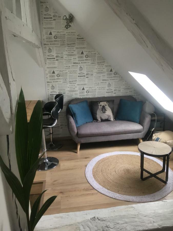 Appartements Atypiques Centre Historique 디종 외부 사진